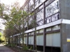 aras_de_brun
